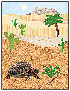 Fotoplstiki. W Afryce