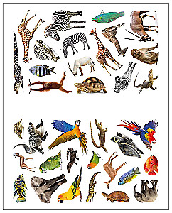 Fotoplstiki. W Afryce