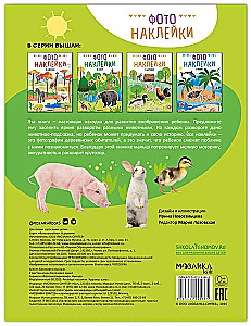 Fotopodkładki. Na wsi