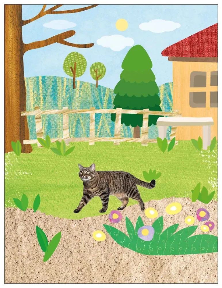 Fotopodkładki. Na wsi