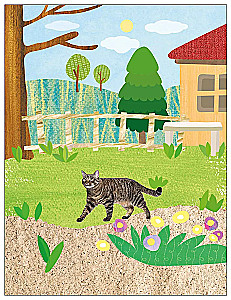 Fotopodkładki. Na wsi