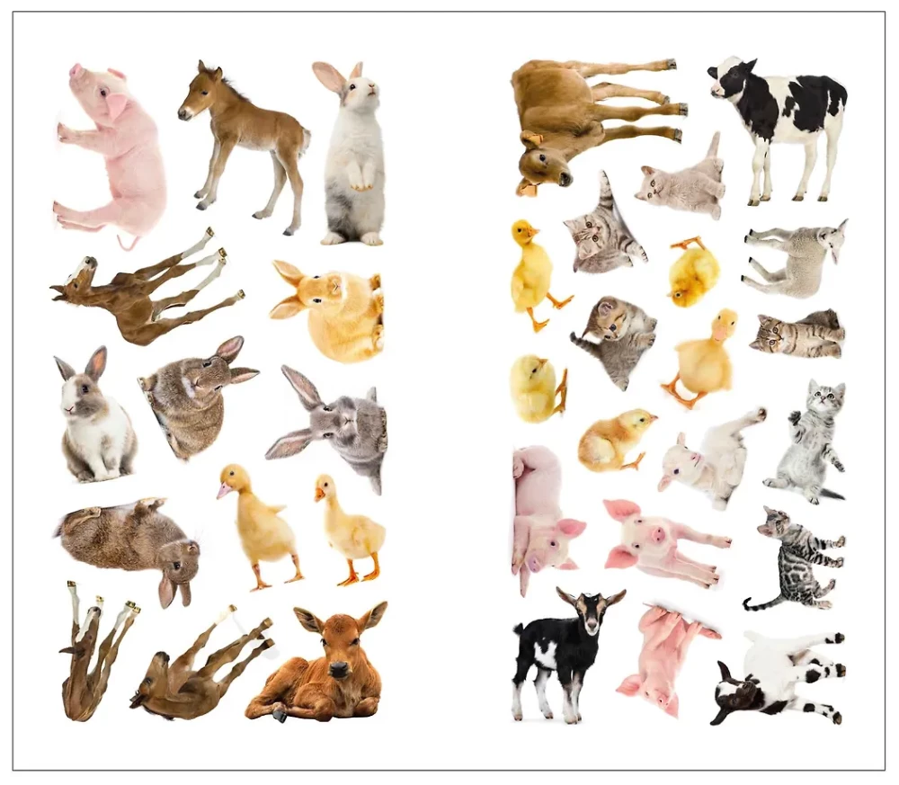 Fotopodkładki. Na wsi