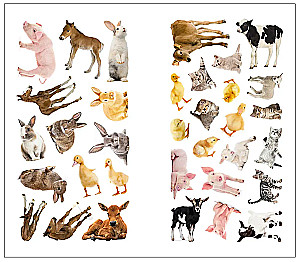 Fotopodkładki. Na wsi