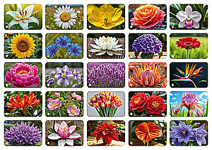 Memo - Die Welt der Blumen