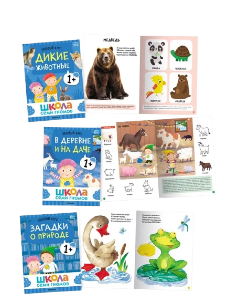 School of Seven Gnomes. Annual Basic Course. Set 1+