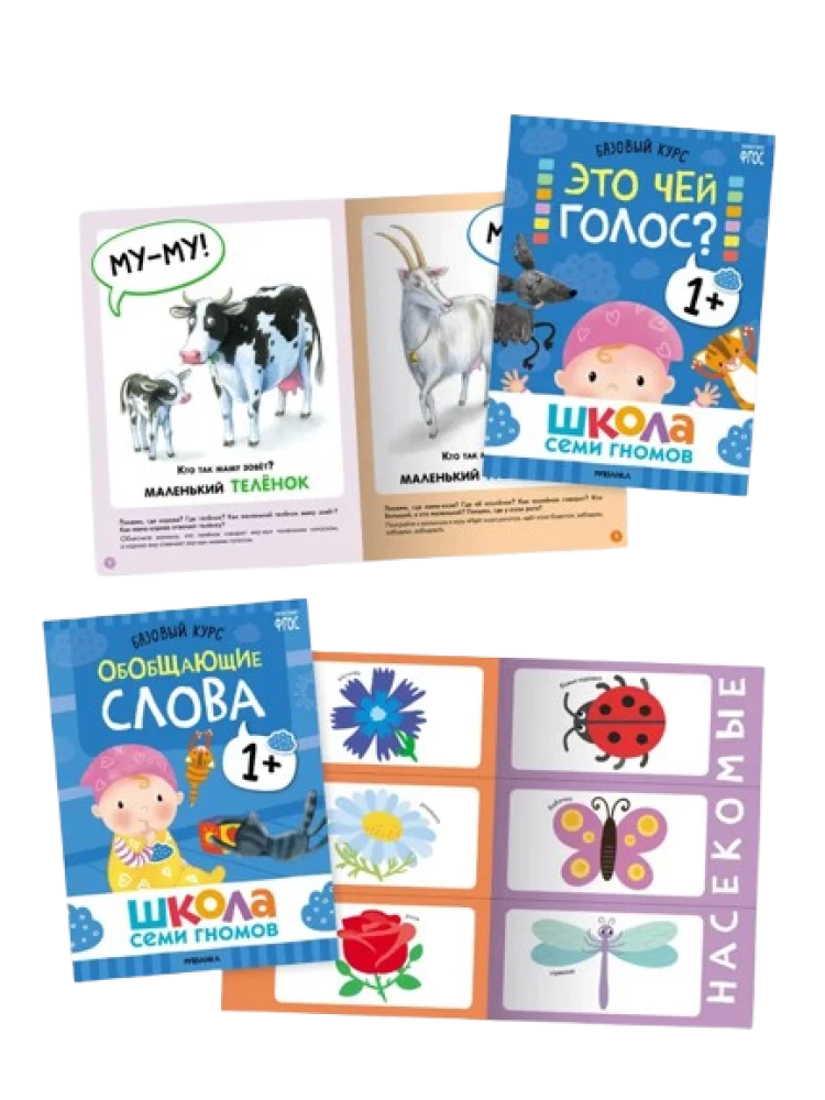 School of Seven Gnomes. Annual Basic Course. Set 1+