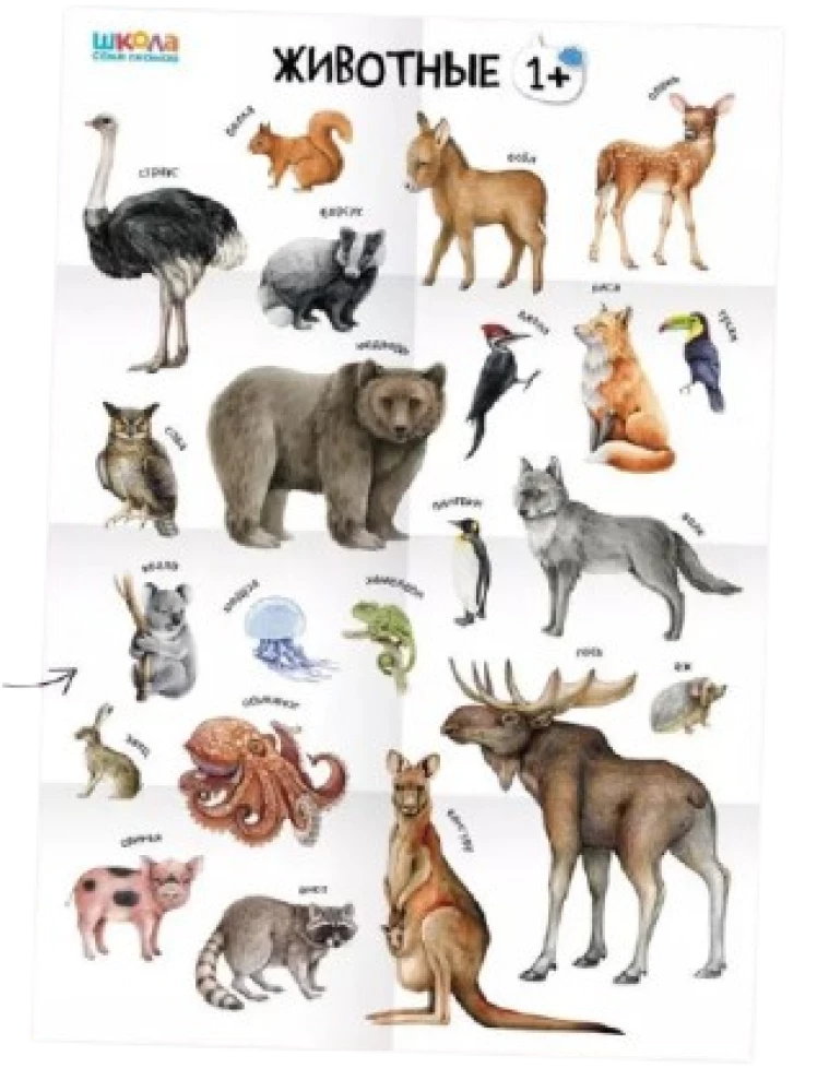 School of Seven Gnomes. Annual Basic Course. Set 1+