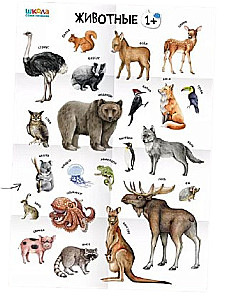 School of Seven Gnomes. Annual Basic Course. Set 1+