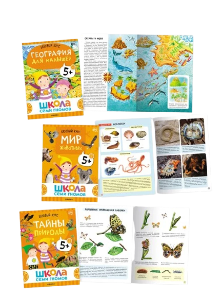 School of Seven Dwarfs. Annual Basic Course. Set 5+