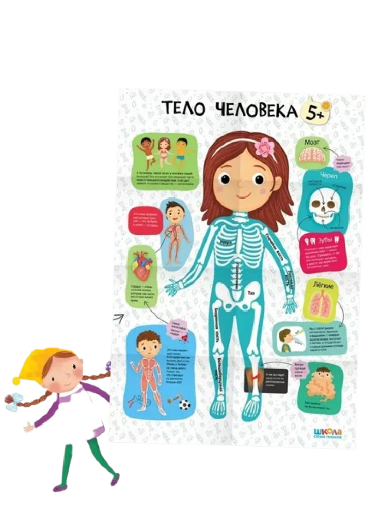 School of Seven Dwarfs. Annual Basic Course. Set 5+