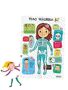 School of Seven Dwarfs. Annual Basic Course. Set 5+