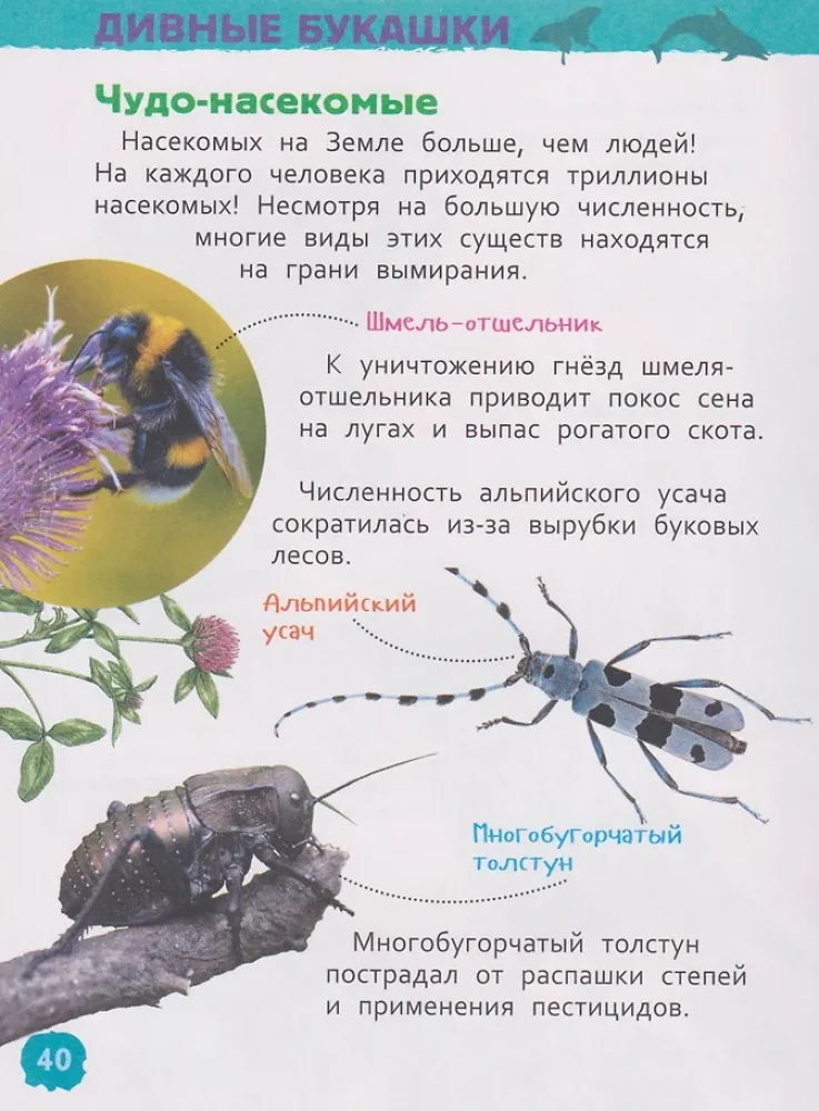 Czerwona Księga Świata