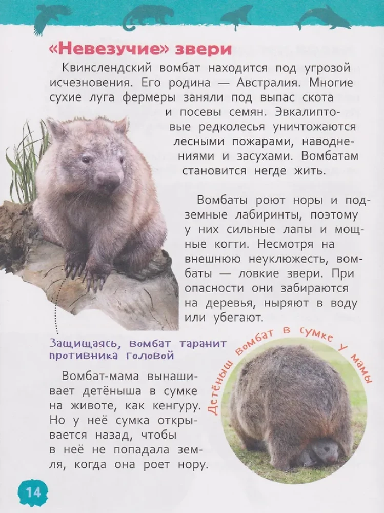 Czerwona Księga Świata