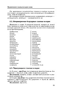 Venemaa keel. Suur käsiraamat