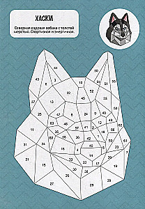 Раскрась по номерам. Собаки