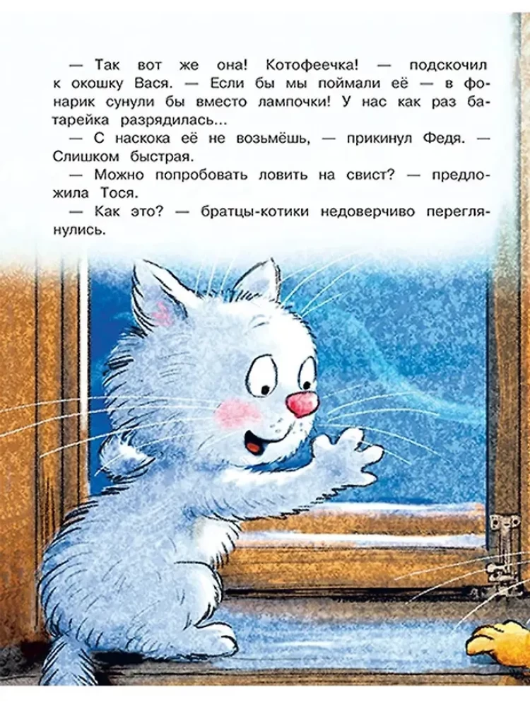 Na co łowią się kotofeje