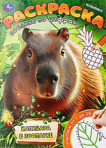 Капибара в зоопарке