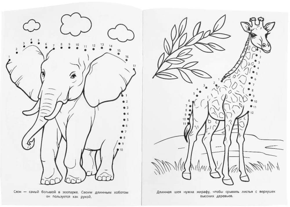 Капибара в зоопарке