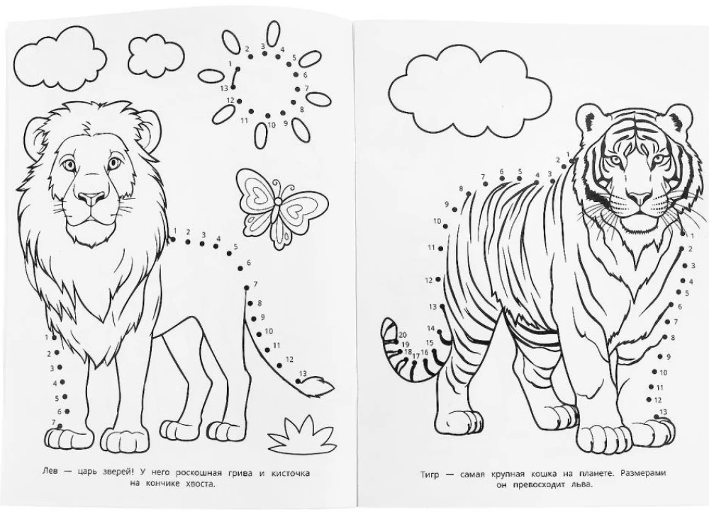 Капибара в зоопарке