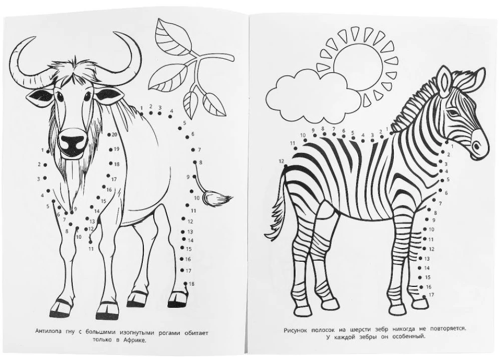 Капибара в зоопарке