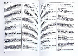 Erklärend-grammatikwörterbuch der russischen Partizipien