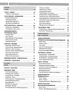 Rusų kalba. Iliustruotas žodynas angliškai kalbantiems