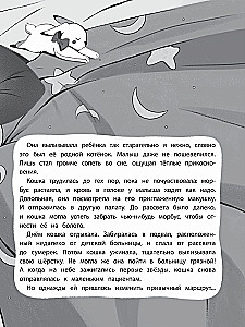 Siedem żyć w zapasie