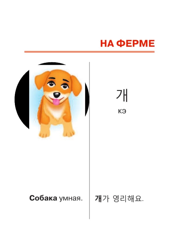 I Teach My First Korean Words