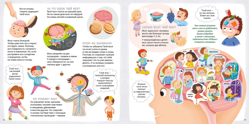 My Body. Who Am I? What Am I? How Am I? Activity - Album