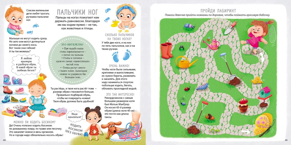 My Body. Who Am I? What Am I? How Am I? Activity - Album