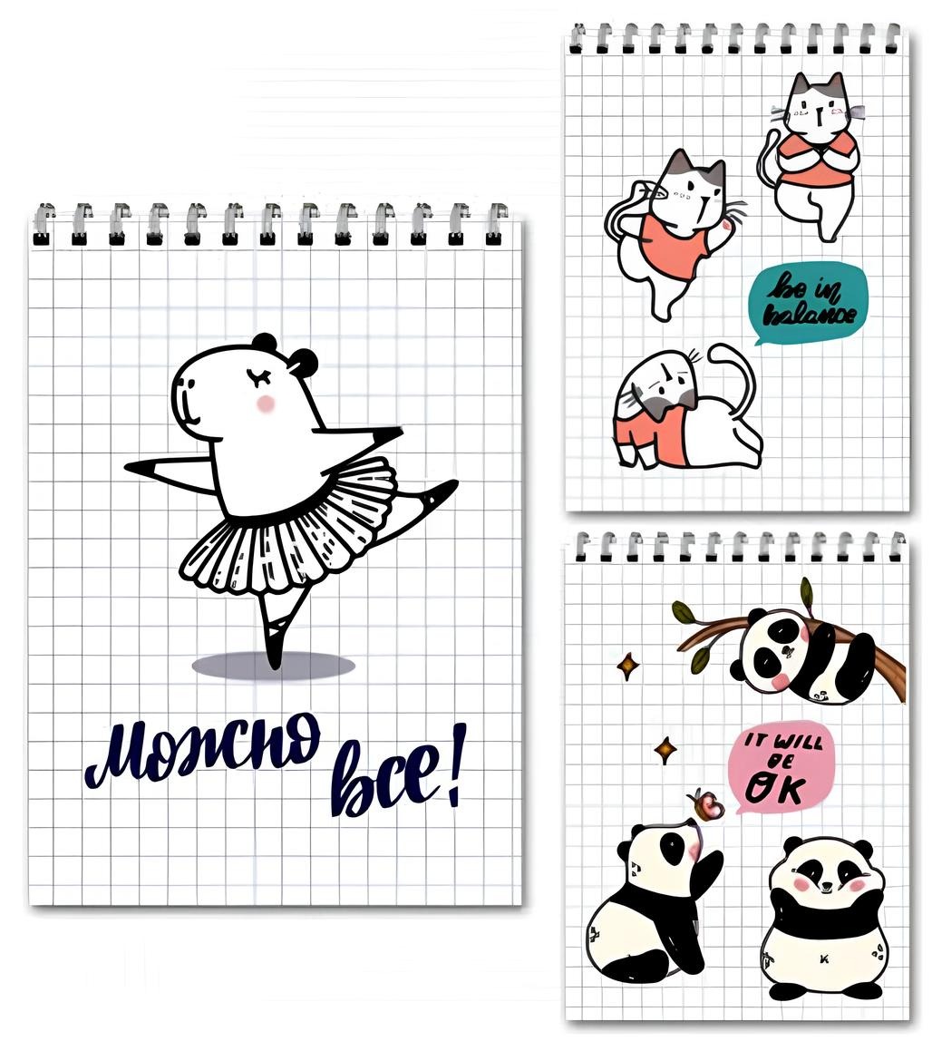 Notebook - Animals and Inscriptions, A6, 40 sheets, grid, assorted