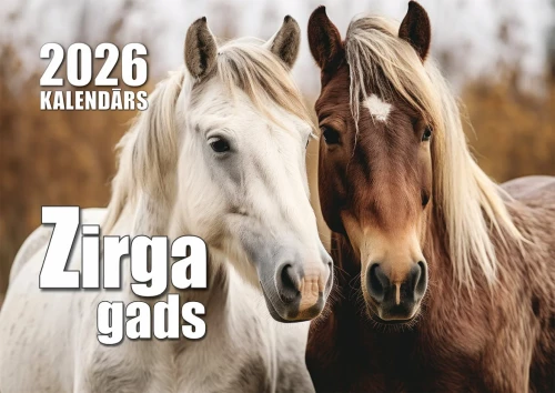 Календарь настенный на 2026 год - Год лошади, А4