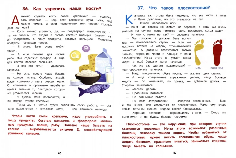 Kuidas inimene on korraldatud. Entsüklopeedia lastele muinasjuttudes