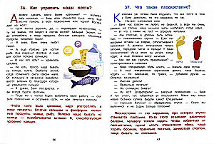 Kuidas inimene on korraldatud. Entsüklopeedia lastele muinasjuttudes