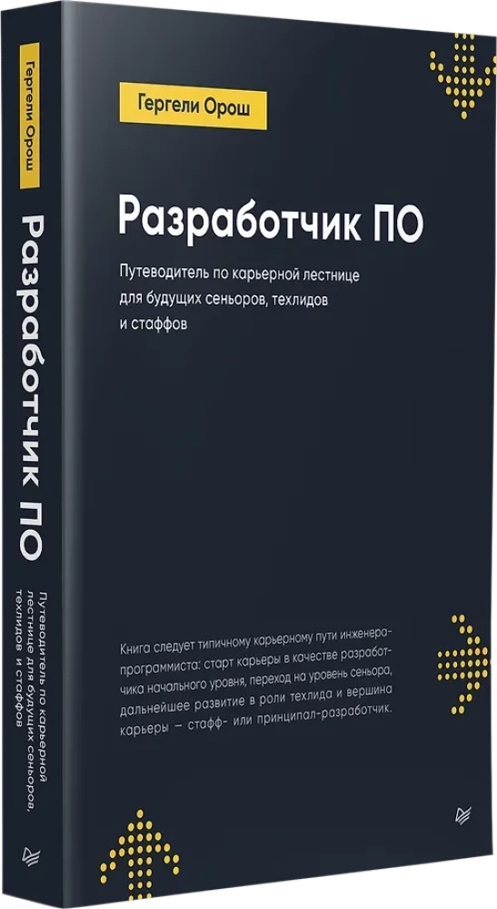 Software Developer: A Career Ladder Guide for Future Seniors, Tech Leads, and Staff
