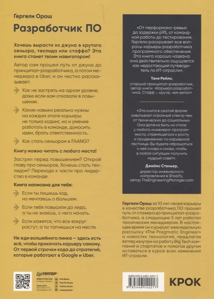 Software Developer: A Career Ladder Guide for Future Seniors, Tech Leads, and Staff