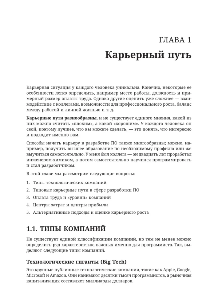 Software Developer: A Career Ladder Guide for Future Seniors, Tech Leads, and Staff