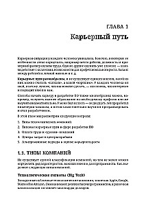 Software Developer: A Career Ladder Guide for Future Seniors, Tech Leads, and Staff