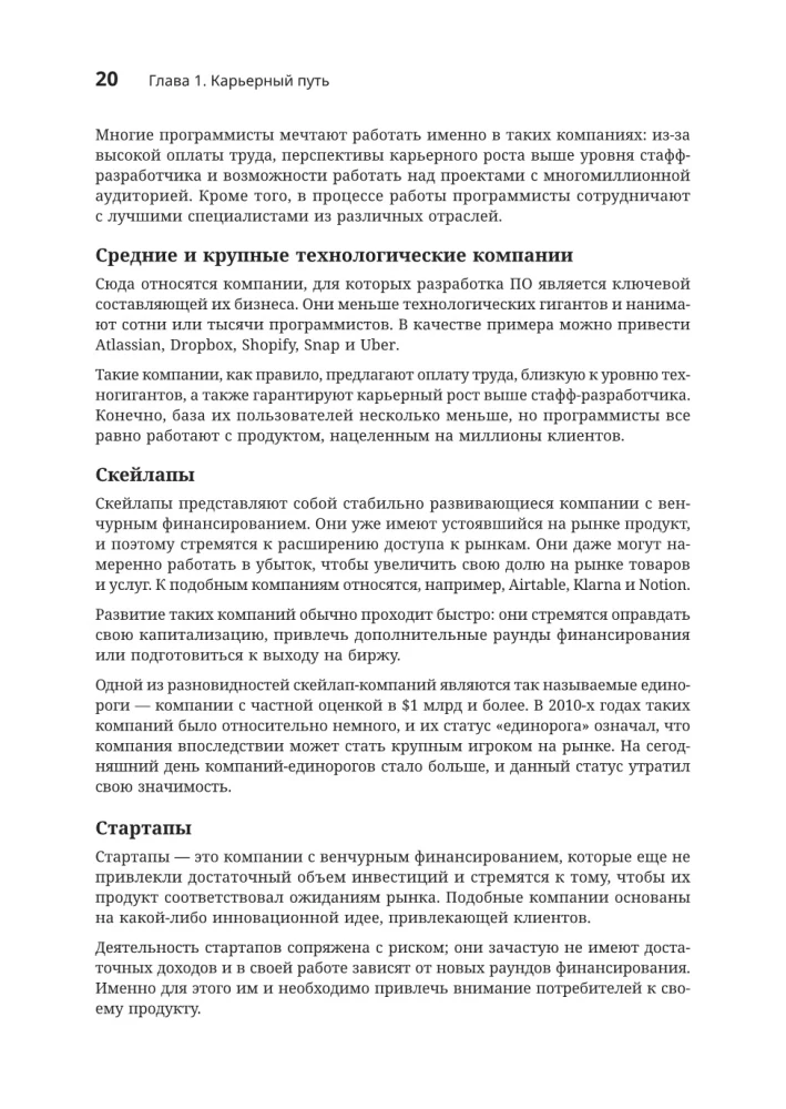 Software Developer: A Career Ladder Guide for Future Seniors, Tech Leads, and Staff