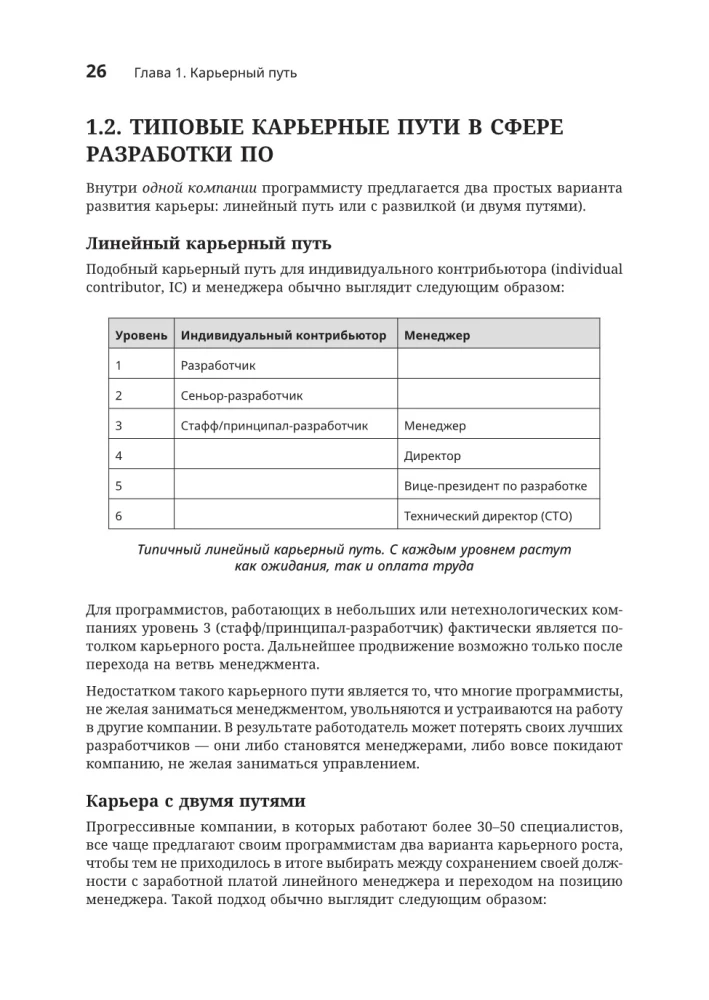 Software Developer: A Career Ladder Guide for Future Seniors, Tech Leads, and Staff