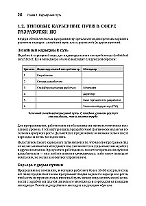 Software Developer: A Career Ladder Guide for Future Seniors, Tech Leads, and Staff