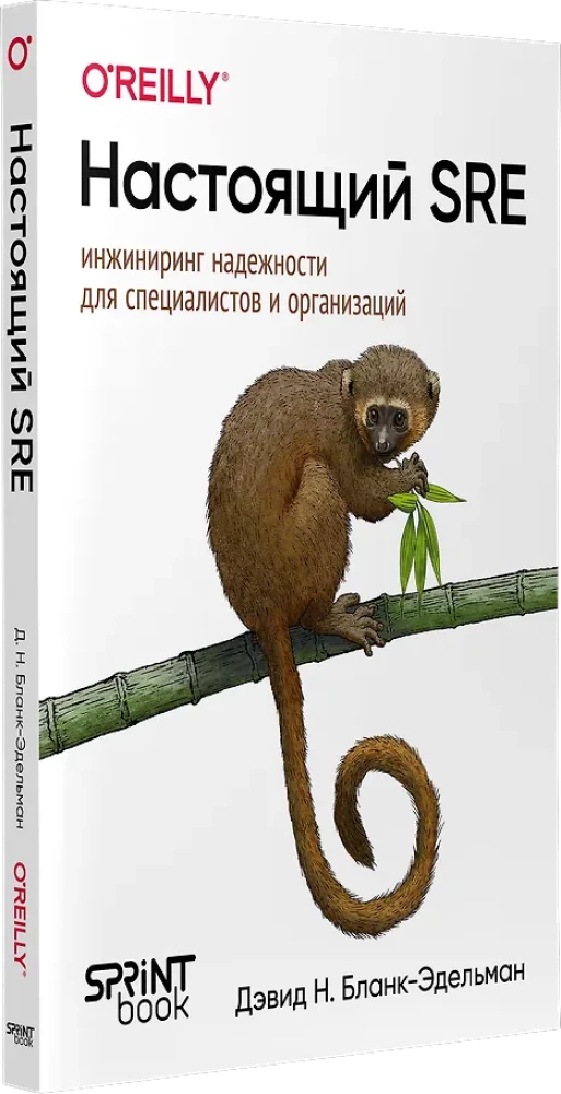 The Real SRE: Engineering Reliability for Specialists and Organizations