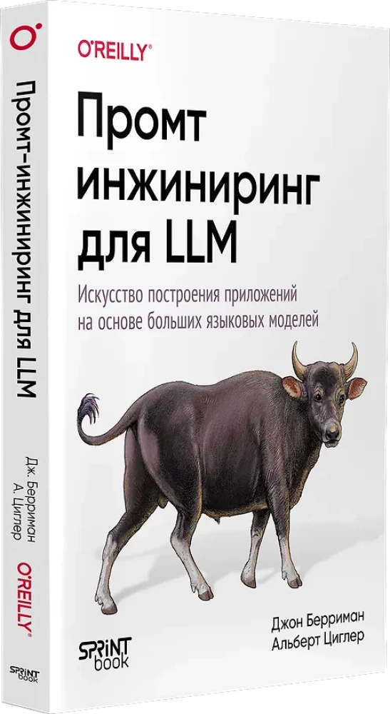 Prompt Engineering for LLM. The Art of Building Applications Based on Large Language Models