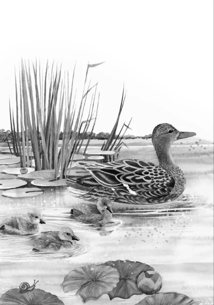 Stebuklingų pasakų pasaulis italų kalba