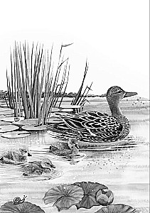 Stebuklingų pasakų pasaulis italų kalba