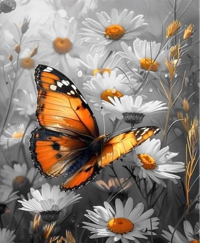 Malerei nach Zahlen 40x50 - Monarchschmetterling in Kamille, LED-Beleuchtung