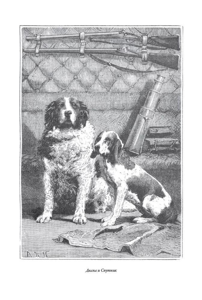 Die Abenteuer der Mitglieder des Kanonenclubs