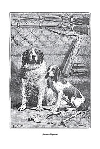 Die Abenteuer der Mitglieder des Kanonenclubs