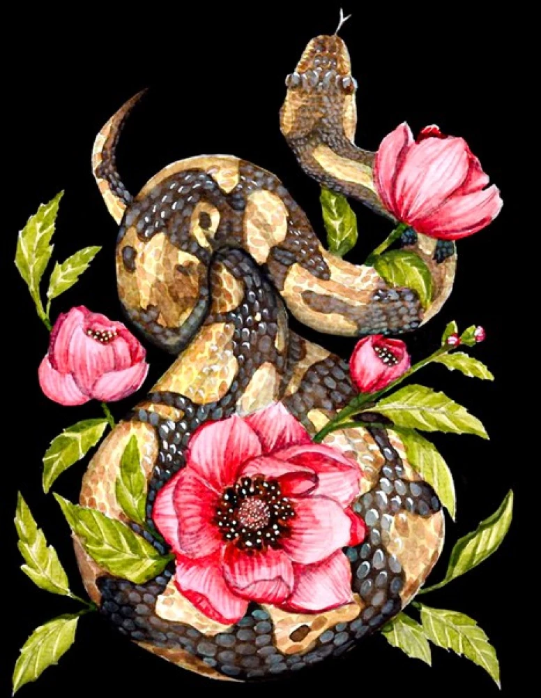 Bild nach Zahlen 30x40 - Schlange in Pfingstrosen