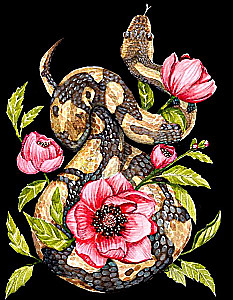 Bild nach Zahlen 30x40 - Schlange in Pfingstrosen